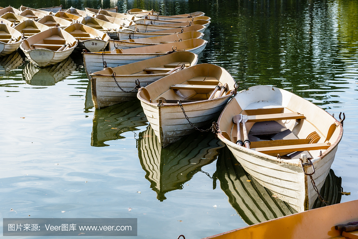 布洛涅森林,布劳涅森林,滨海市洛涅,玻璃丝