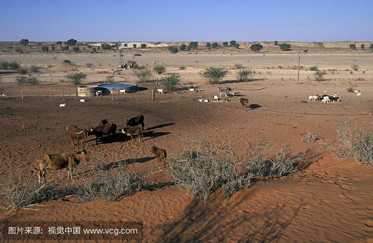 人造水孔。畜牧业导致过度放牧和荒漠化,非洲