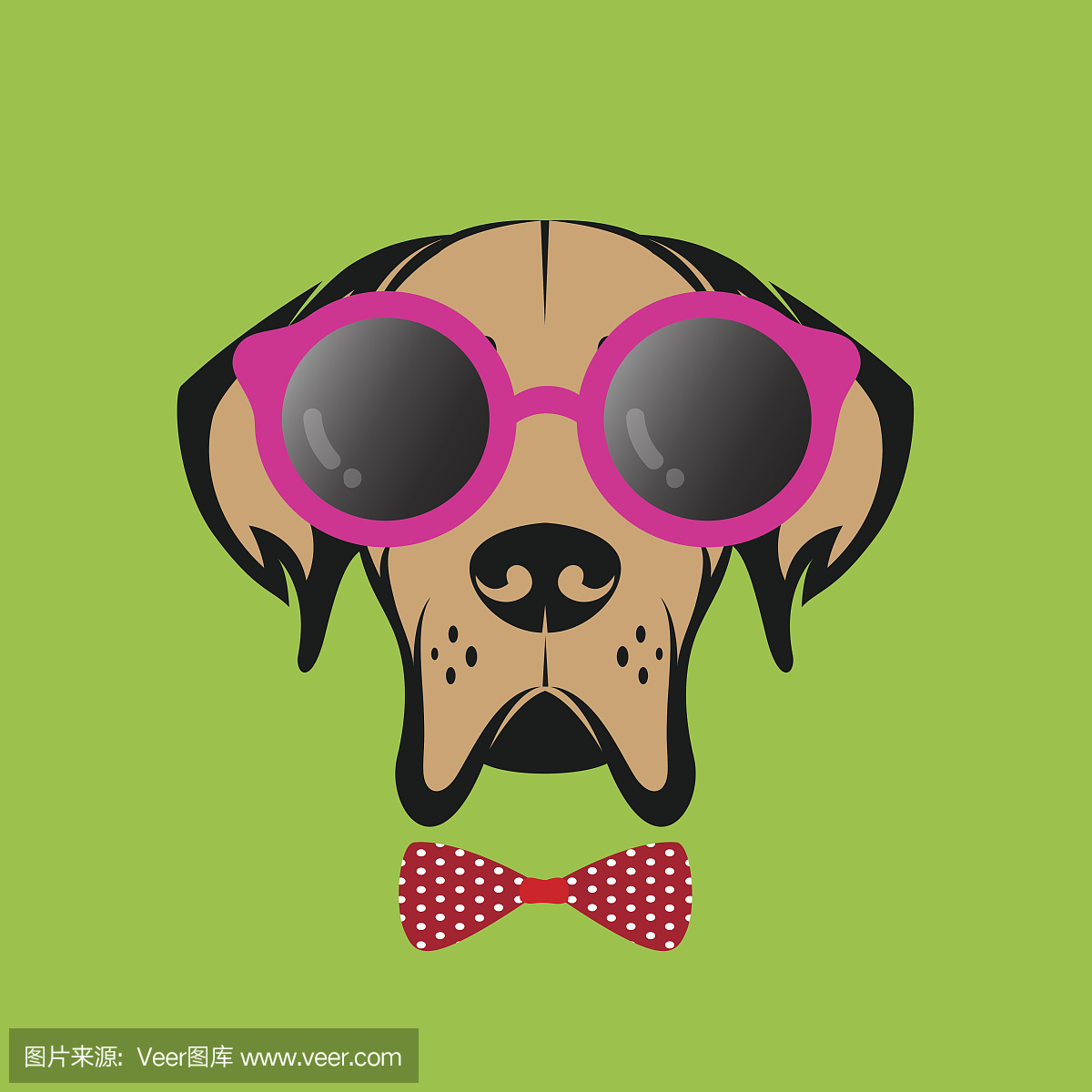 丹麦郡,戴恩军,丹麦人郡,戴恩县