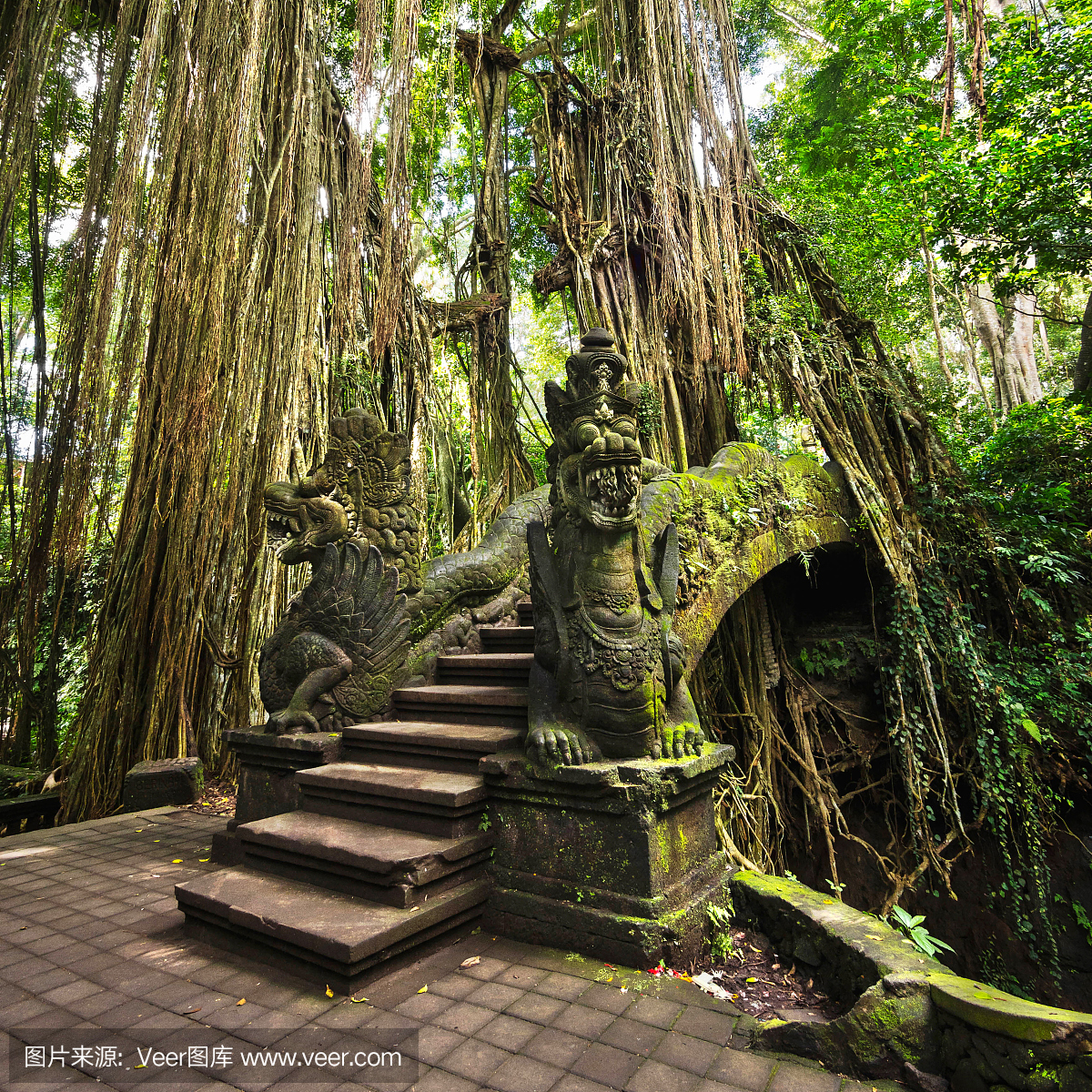 桥梁在猴子森林保护区在乌布,巴厘岛,印度尼西亚
