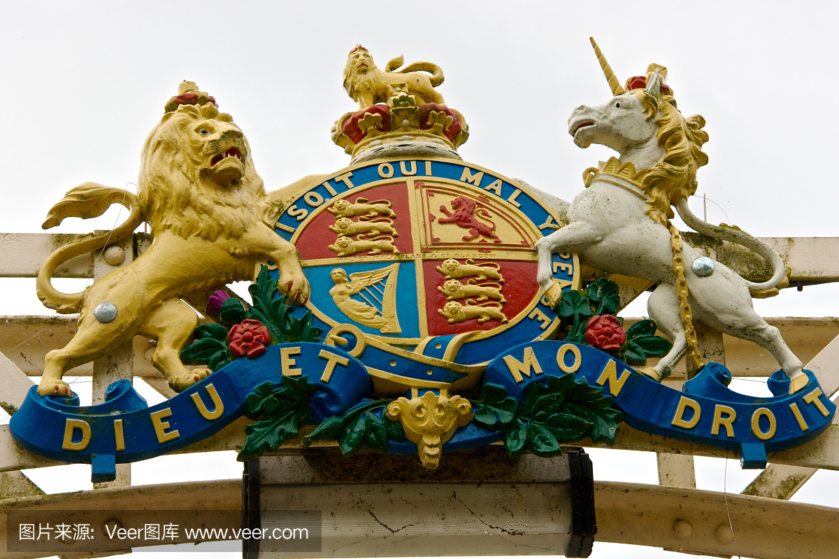 皇家徽章-纹章学纹章，与盾的象征 向量例证. 插画 包括有 皇帝, 装饰, 纹章, 加冕, 反气旋, 图象 - 119967626