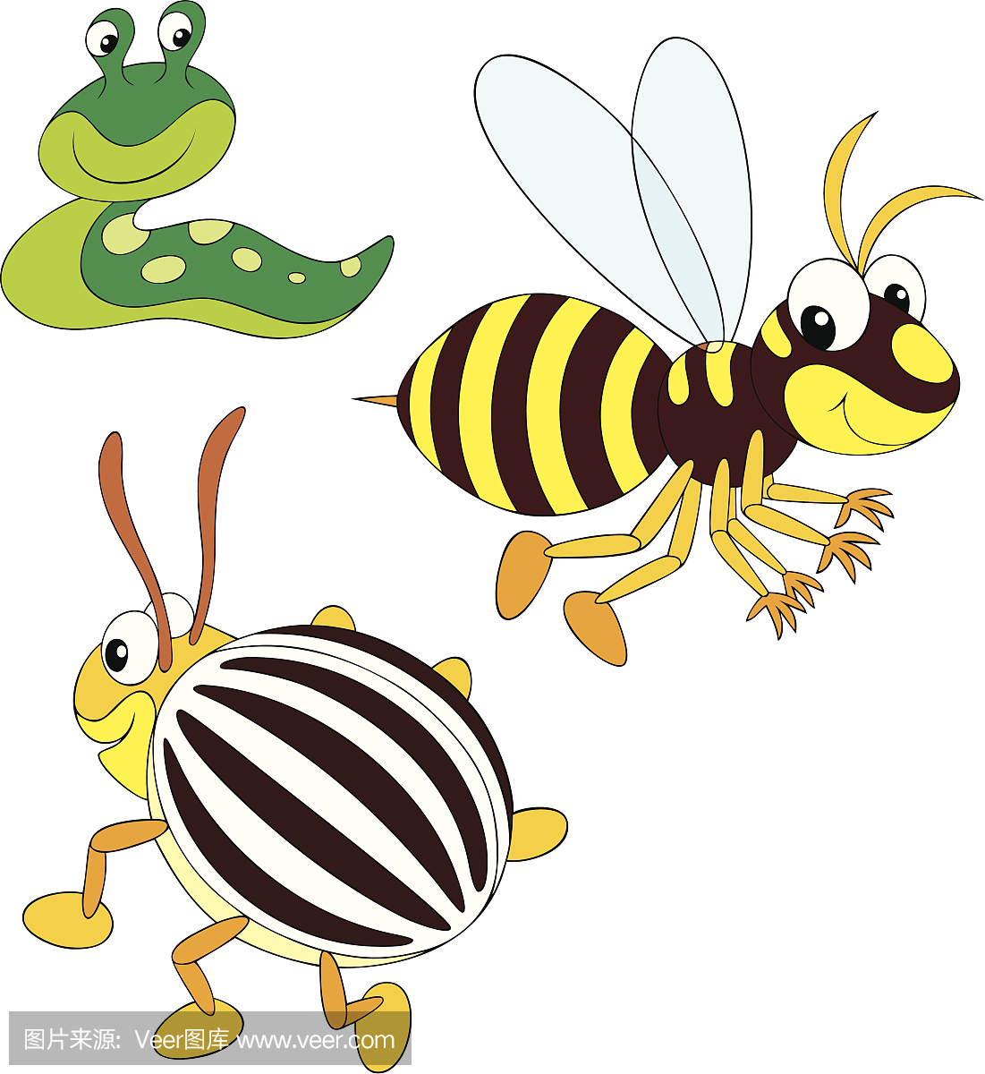 水蛭吸血,蚂蟥吸血,吸血,医蛭吸血