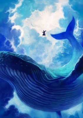 天空在壁纸遨游鲸鱼多媒体与天花板设计图图片