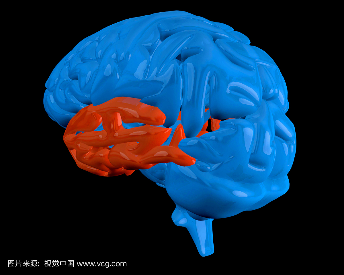 Blue brain with highlighted red temporal lobe on