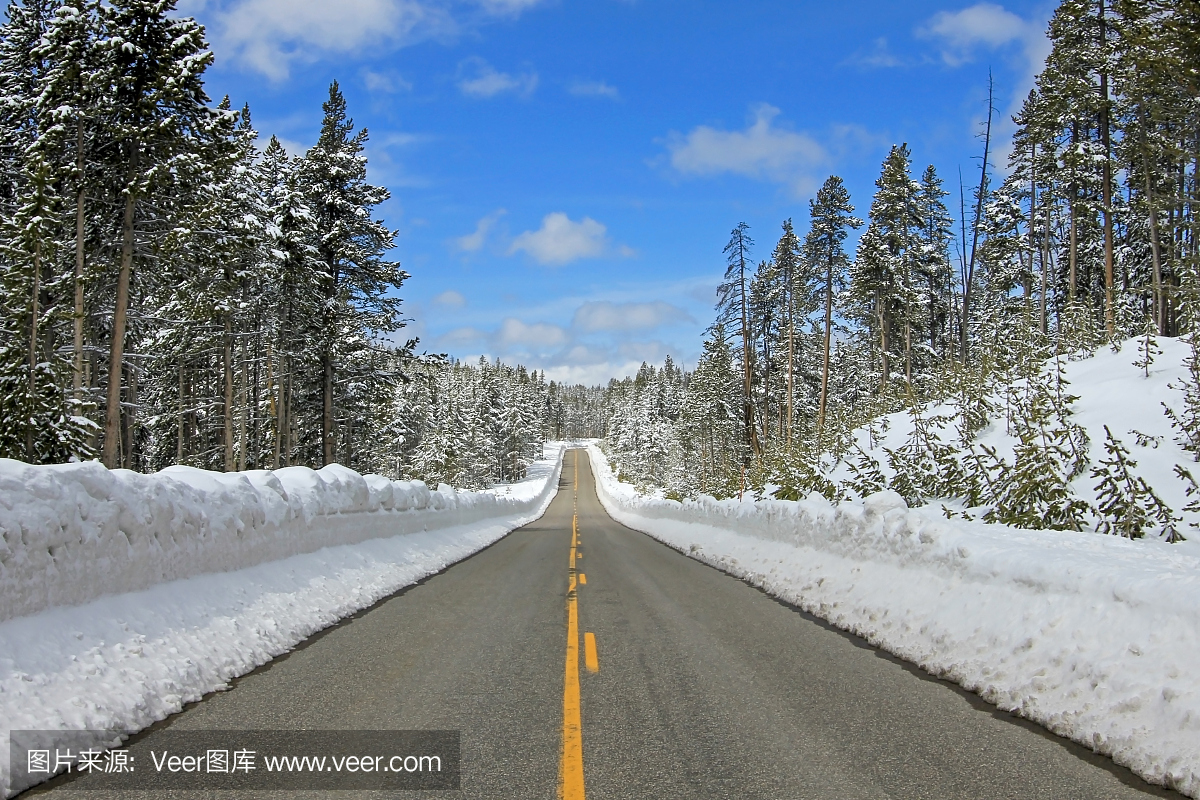 南入口路槽黄石国家公园,美国,下雪天气后春季