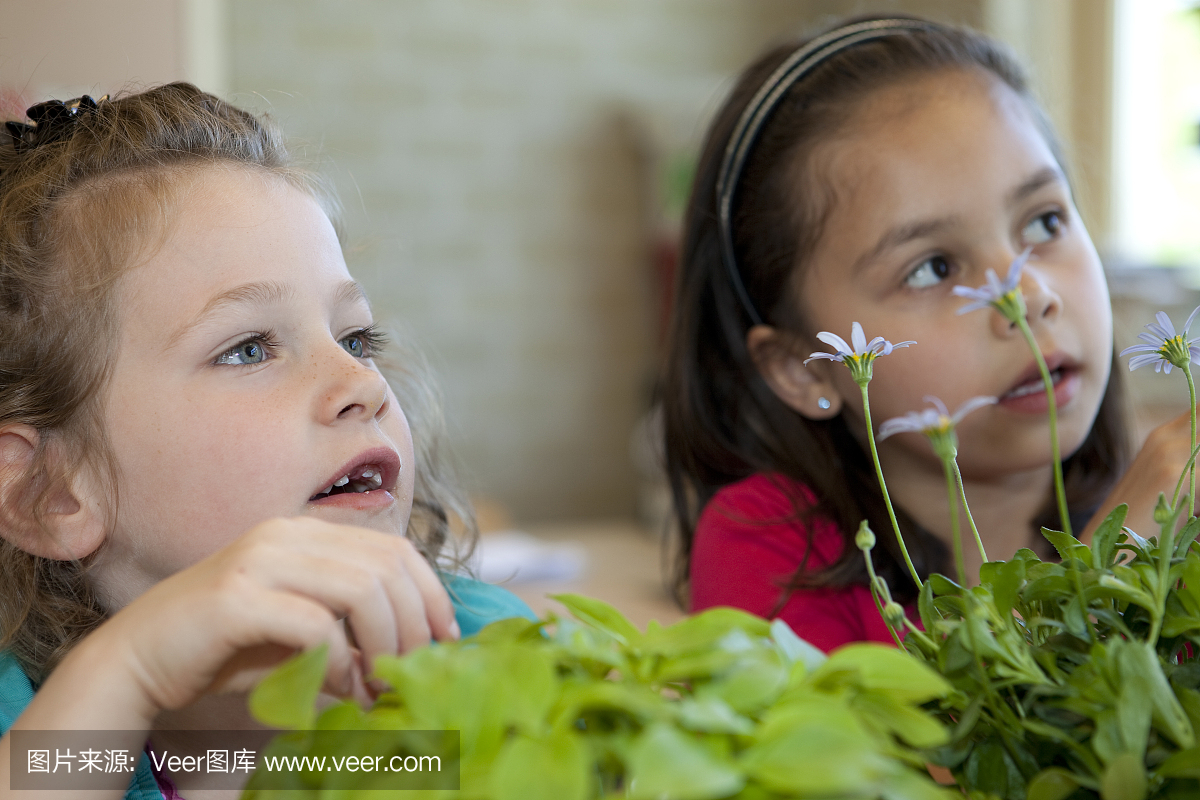 两个女孩对生长的植物有生物学