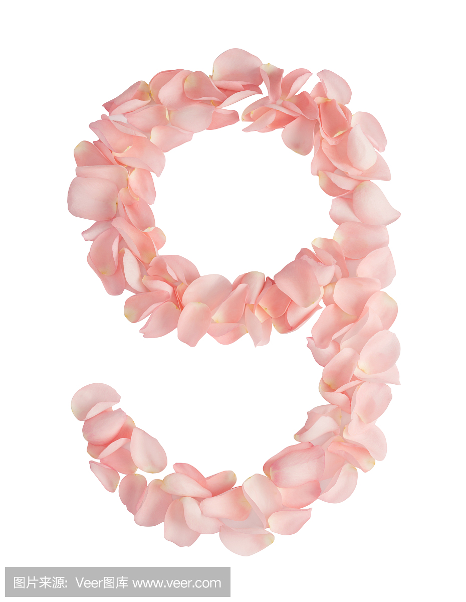 Number 9 Made of Flowers. Number Monogram