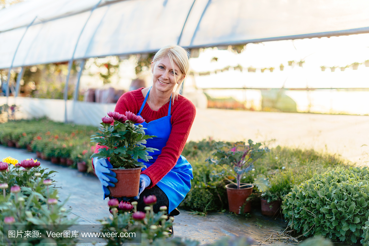 成熟的女人用花开发自己的事业