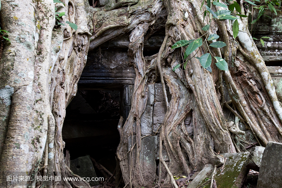 柬埔寨,彩色图片,吴哥窟,历史