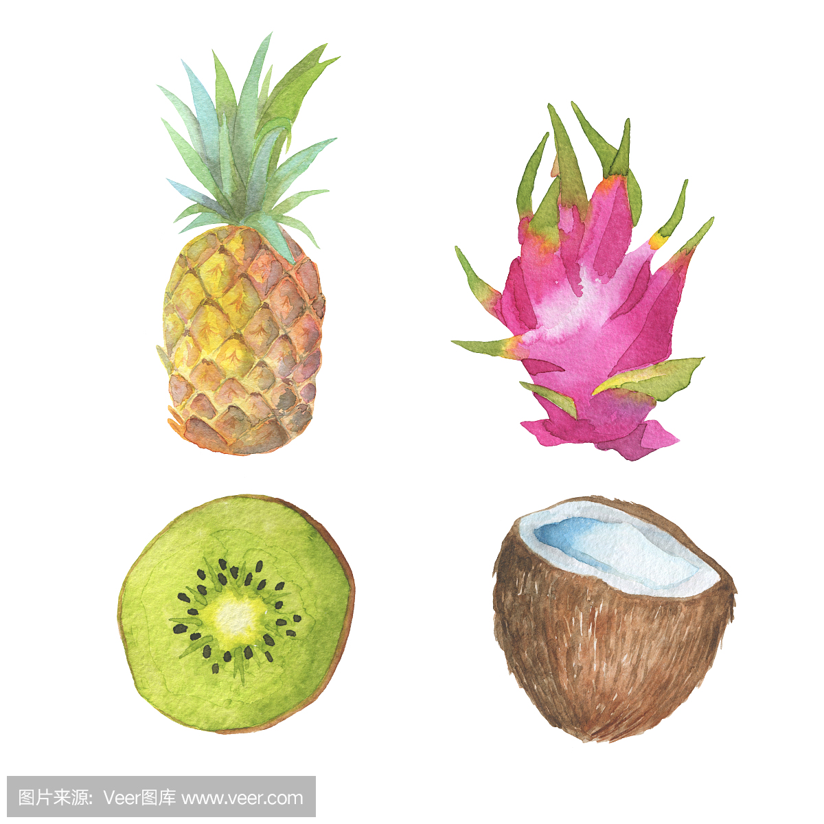 设置与火龙果,椰子,切片猕猴桃和菠萝孤立在白