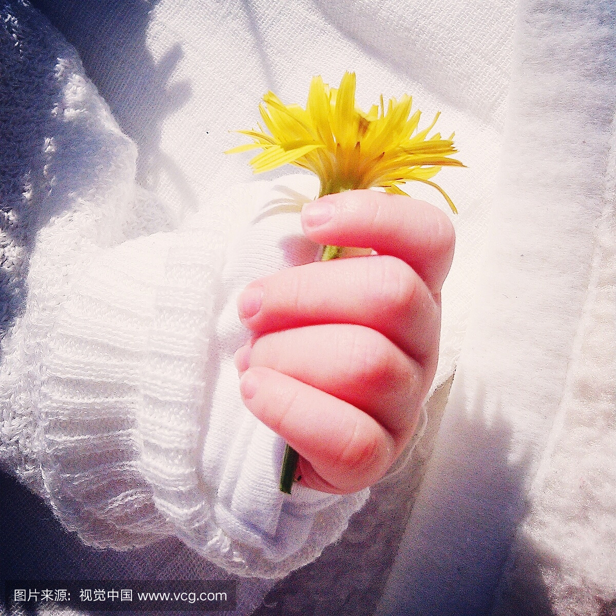 在阳光灿烂的日子里抱着黄花的婴儿的裁剪图像