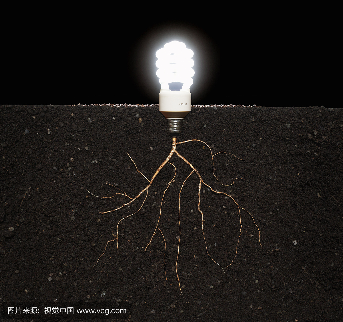 节根系从植物手机游戏在灯泡中,特写的好玩女生生长土壤版图片