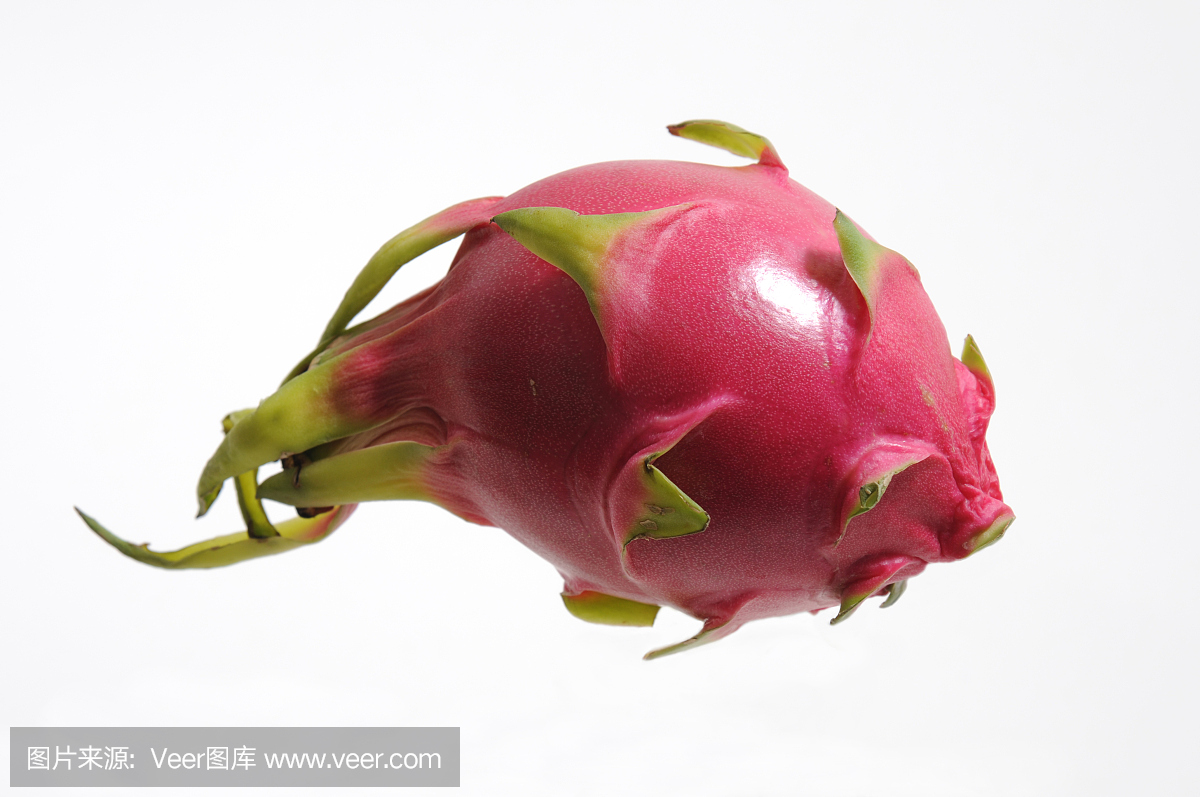 皮塔雅,红龙果仙人掌,仙人掌果,仙人掌成果