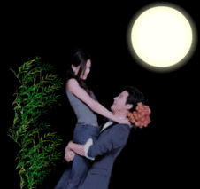 动态透明背景素材 yy动态头像背景素材 牡丹花透明背景素材-37kb