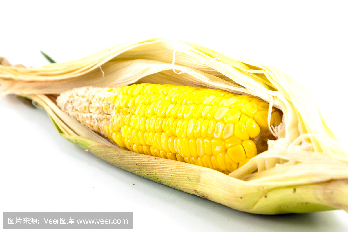 老玉米,玉米棒,玉米棒子,水平画幅