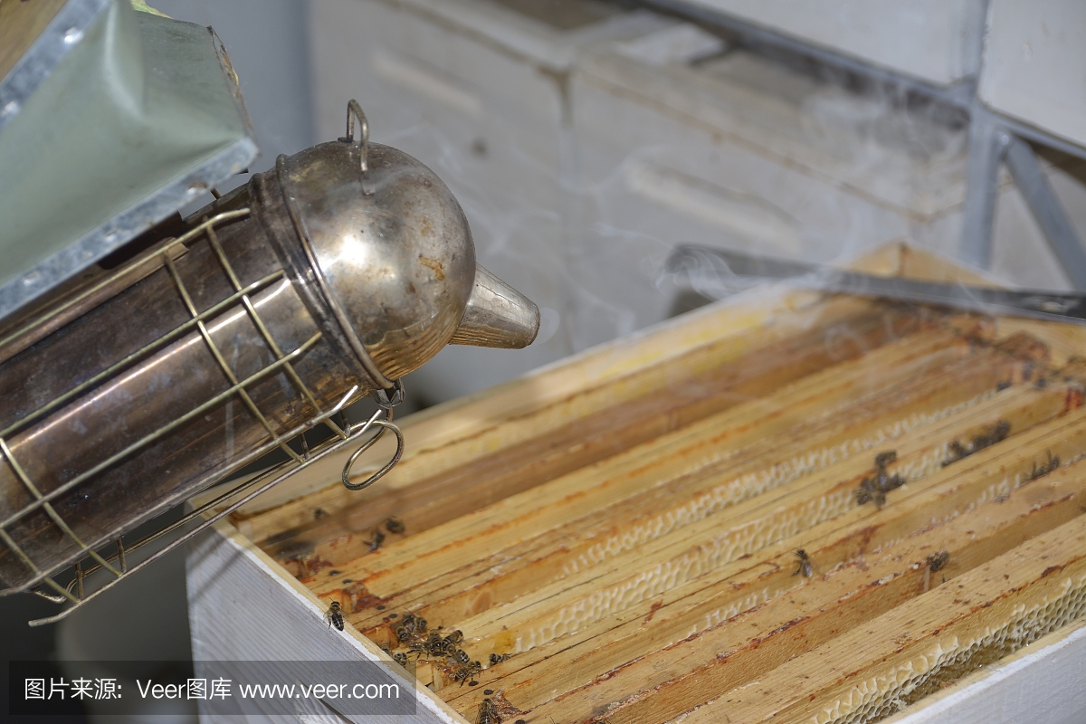 吸烟者养蜂人用于保持蜜蜂远离蜂巢的工具