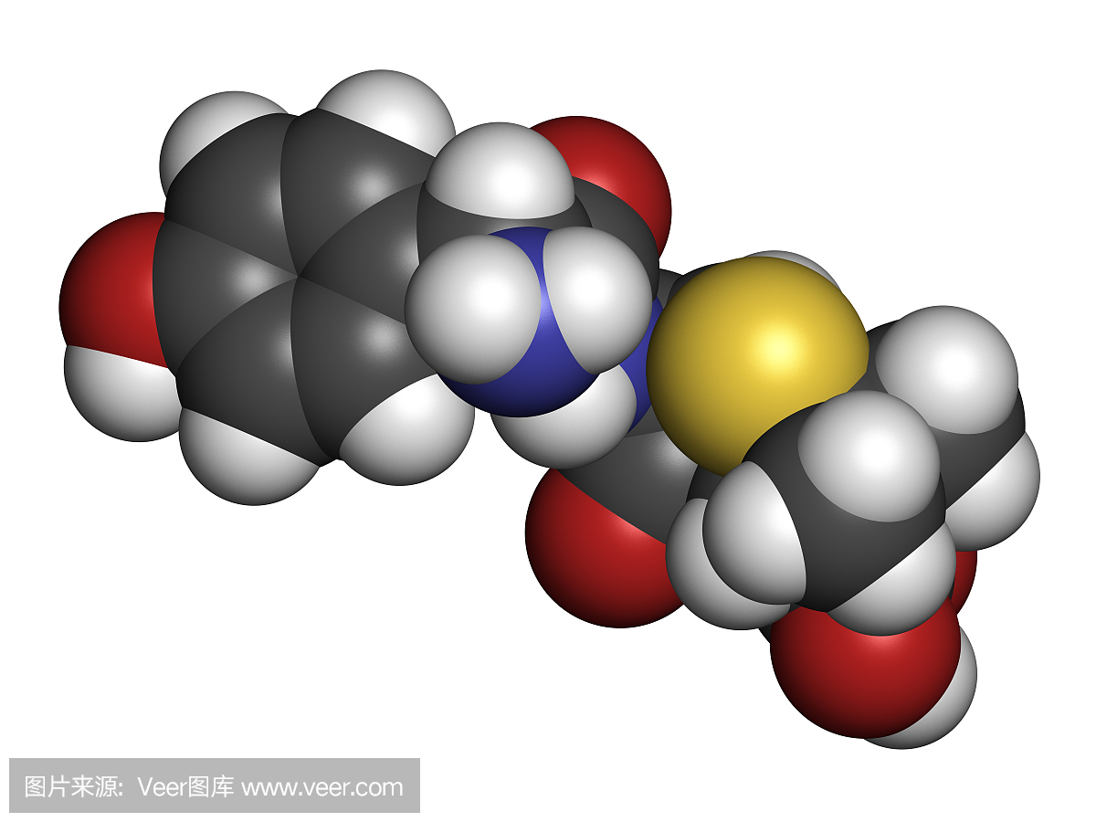 阿莫西林β-内酰胺抗生素药物,化学结构。