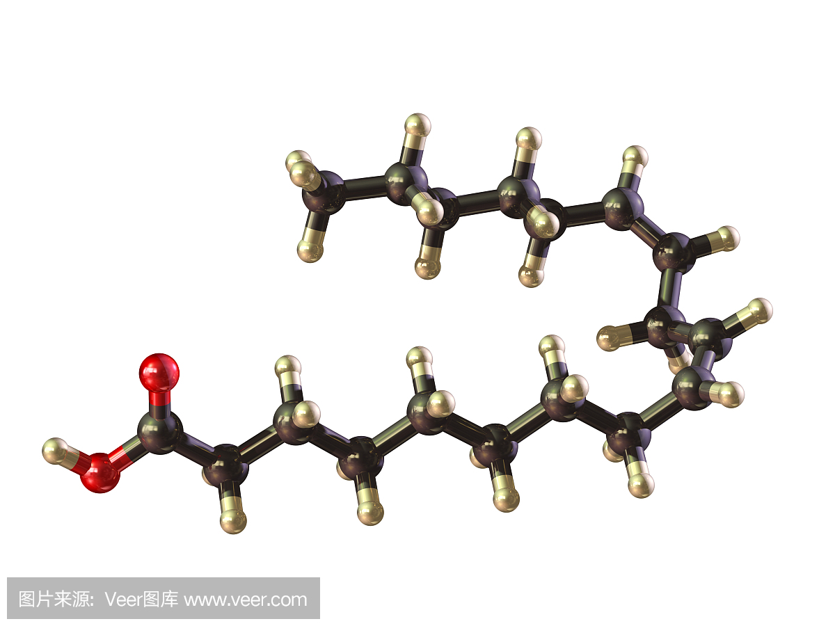 Omega-6基本脂肪酸模型