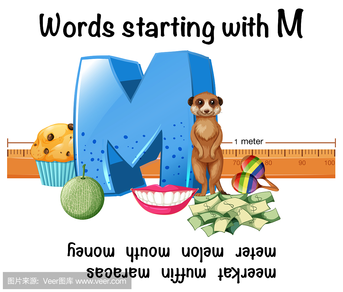 以M开头的英语单词