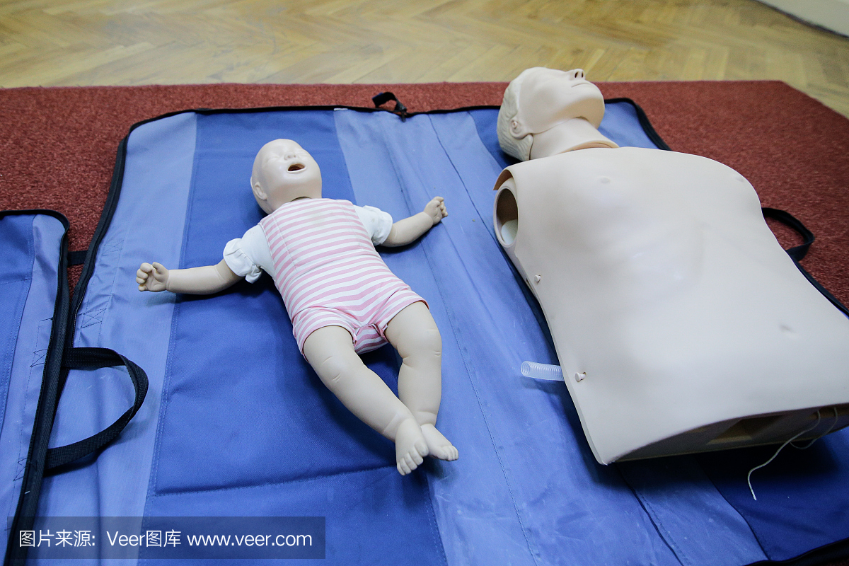 心肺复苏模型人,心肺复苏模拟人,人体模型,心肺