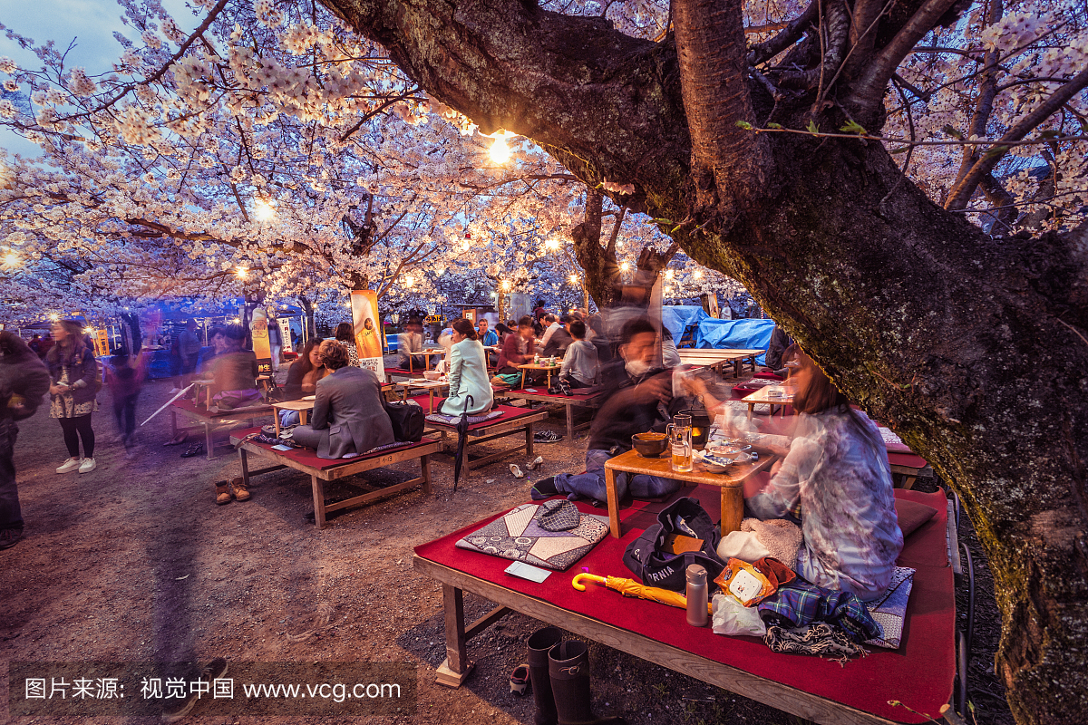 在日本京都的八坂神社樱花派对