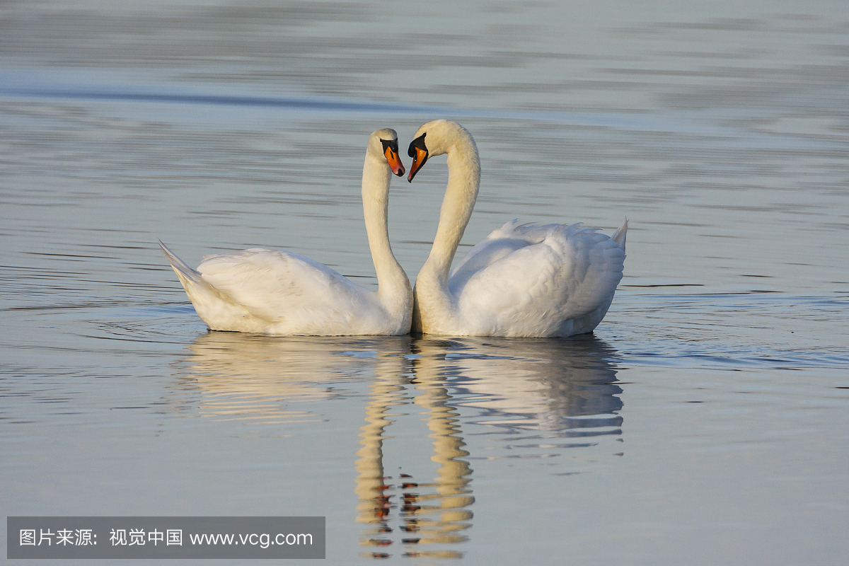 浪漫,浪漫主义,风流韵事,爱的感觉