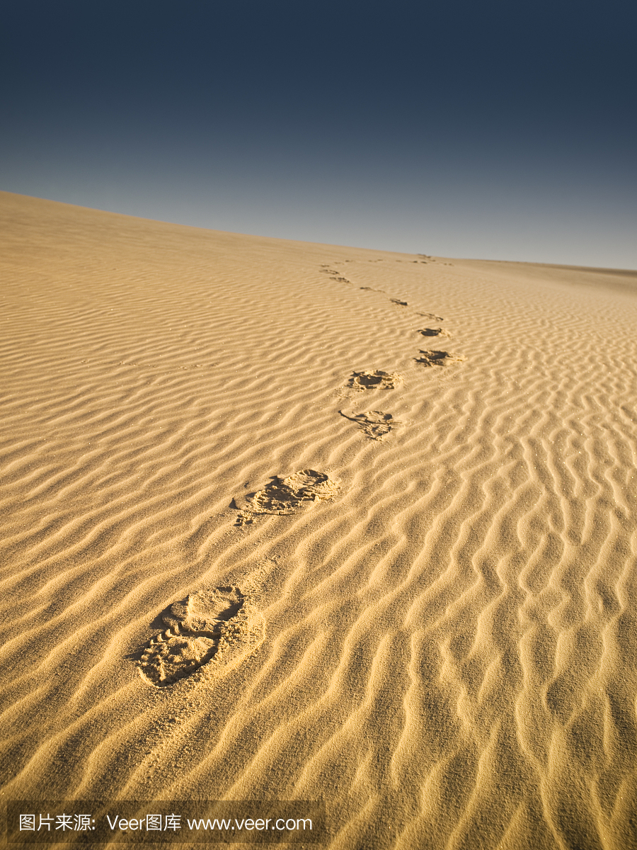 桑迪沙丘路径在沙漠中