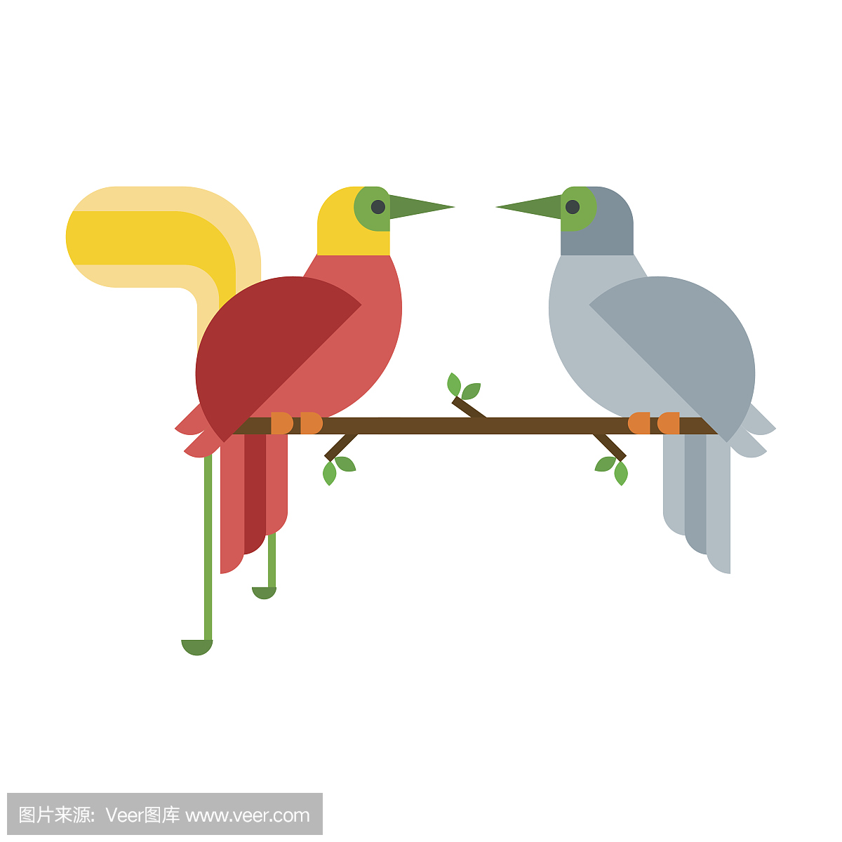 卡通热带孔雀夫妇野生动物鸟矢量图和野生动物