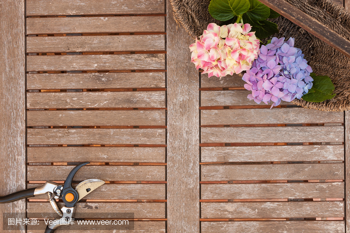 修剪和绣球花在风化的木桌上的篮子里花
