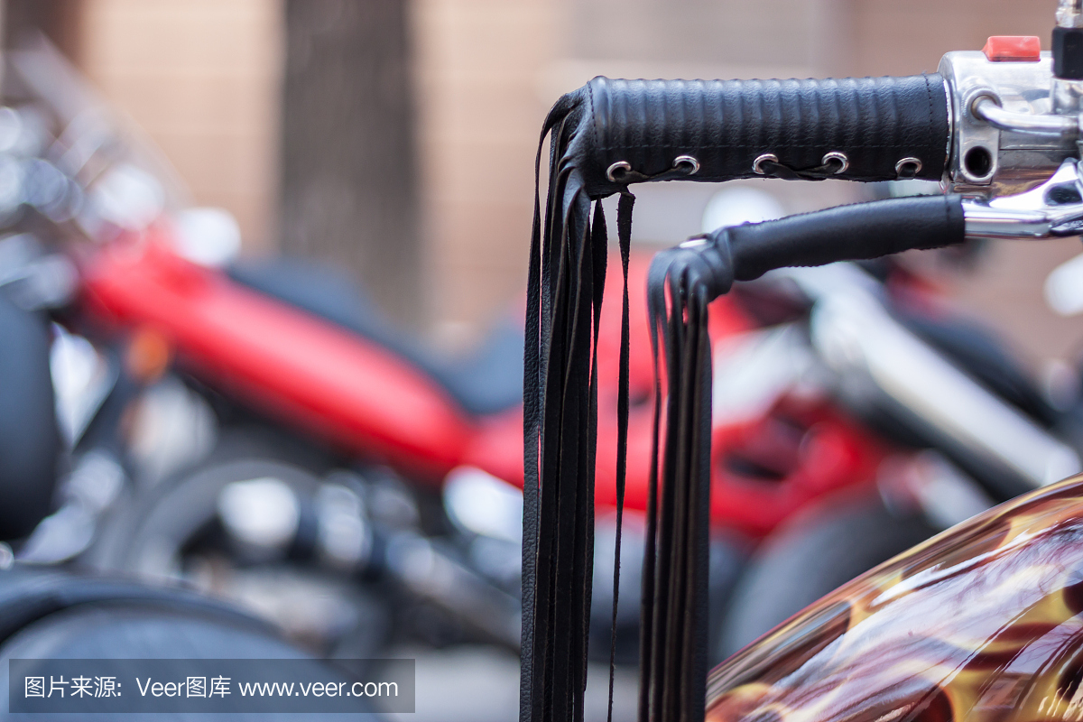 摩洛哥游行在普罗夫迪夫,保加利亚