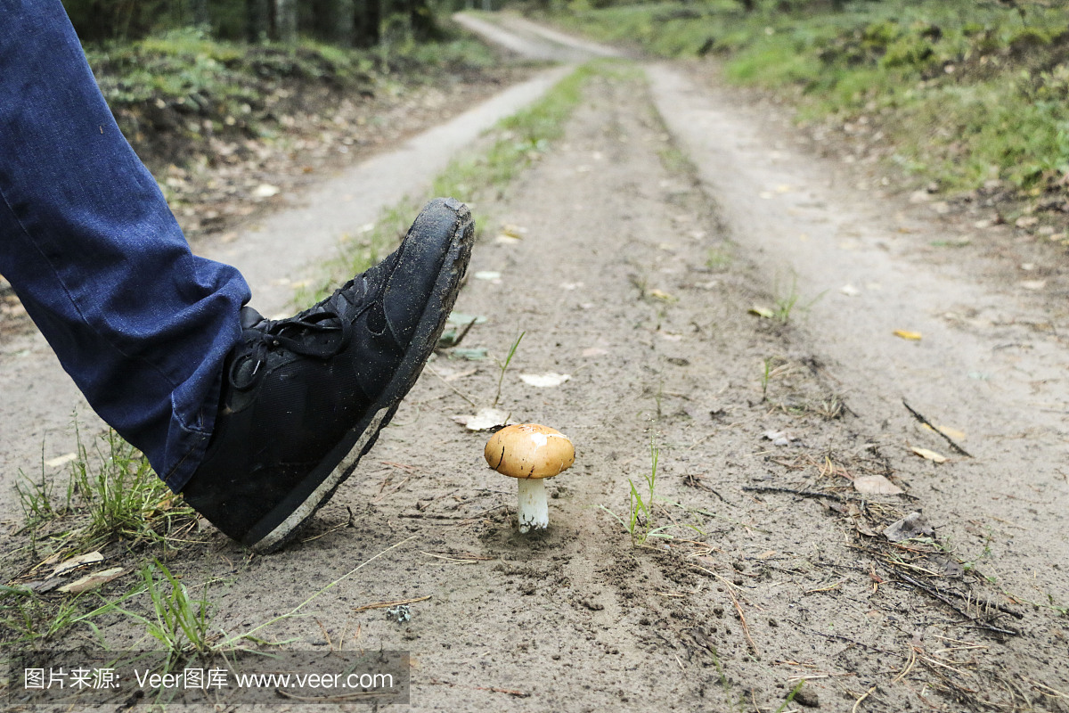 路上的蘑菇在一只黑色运动鞋中被脚踩碎