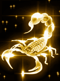 240_320 竖版 竖屏 gif 动态图 动图